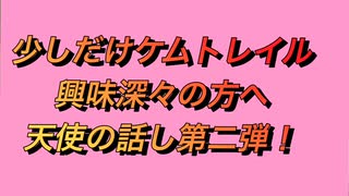 ケムトレイルについて少しお話しします後半は興味深々の方へ天使のお話第二弾！