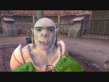 The Elder Scrolls Ⅳ:OBLIVION＃6