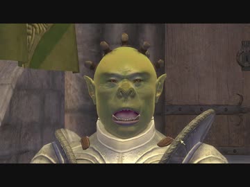 The Elder Scrolls Ⅳ:OBLIVION＃9