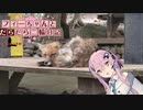 【CeVIO車載】フィーちゃんとだらだら二輪日記　東北編　1日目　蔵王キツネ村