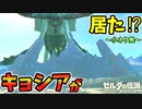 クリア後の世界にもキョシアがいた！？透明でゲルドの街･王を抹消する方法など小ネタ集【ブレワイ BotW】裏技 バグ 検証 ゆっくり実況 glitch