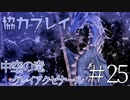 【二人実況】ソウルライク２Ｄアクションを協力プレイでクリアするって言ってんの！｜ソルトアンドサクリファイス　＃25