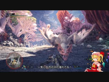 【ＭＨＷ：ＩＢ】呼び戻されてアステラ　パオウルムー戦【東方】