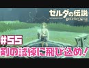マスターソードのパワーを全開だッ！【お散歩編①】#55