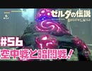 これなんか難しくないか？【お散歩編①】#56