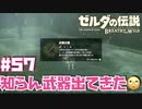 これ今やる試練じゃないのかもしれん【お散歩編①】#57