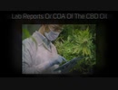 Buy CBD Oil