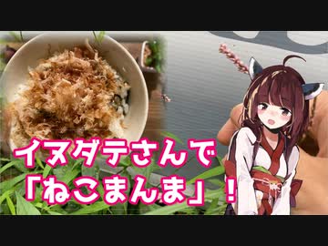 【思い切って野草を食べてみよう】#85 イヌタデさんで「ねこまんま」！