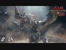 毒を入手するつもりが体内に入れまくってしまいました【MHRise実況#38】