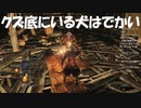 #61【ダークソウル2】何食ったらこんなデカい犬になるんだろう初見プレイ-DARK SOULS Ⅱ SCHOLAR OF THE FIRST SIN-