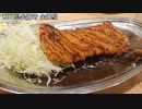 【鉄道旅行】「青春18きっぷ」で金沢を旅してみた　その３【日帰り旅行祭】