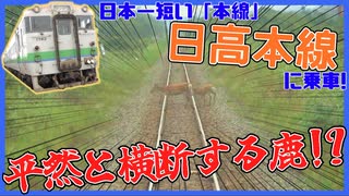 日本一短い「本線」！？日高本線に往復乗ってみた【北海道 ローカル線】