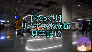 【ゆっくり】リスボン水族館見学記12