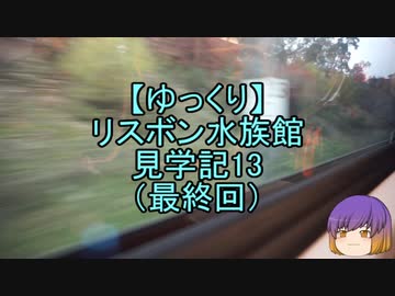 【ゆっくり】リスボン水族館見学記13（最終回）