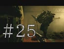 【実況】オラこんな村いやだけどクリアを目指す【BIOHAZARD VILLAGE】#25
