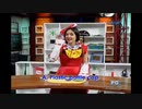 【転載】イヤホンケースをDIYする博麗の巫女
