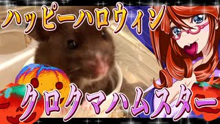 ハッピーハロウィン クロクマハムスター 26