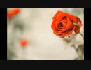 [TRANCE] Mixed by aki 2022/09/24
