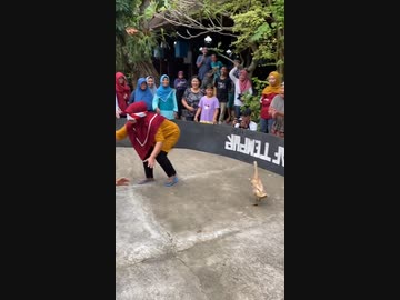 目隠し婆VSアヒル