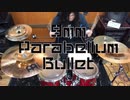 9mm Parabellum Bullet -The Revolutionary 叩いてみた