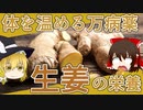 【ゆっくり解説】生姜の栄養について解説！
