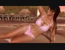 【DoaX3/紅葉】フォトパラダイス 紅葉  092808
