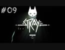 【Stray】 葵ちゃんが猫と散歩する #9