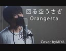 【男性が歌う】Orangesta /『回る空うさぎ』（リクエスト曲）
