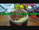 【ルーミアの食レポ】恐怖！丼ボロネーゼ。フェットチーネの怪！！