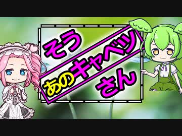 そう、あのキャベツさん