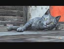 (Fallout4)放射能にまみれたこの世界で(ゆっくり)  #13「命の重さに違いはない」