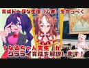 【ウマ娘】育成ドヘタな生徒をなるちゃん先生が救います！【育成動画】