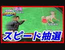【メダルゲーム】500枚を5000枚に増やせるのか？part2【ポケモンコロガリーナ】