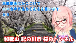 【ボイロ車載】車載動画にかこつけてエロ音声作品あるあるを言います#6【和歌山 紀の川市 桜のトンネル】