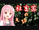 社畜茜その20【ソフトウェアトーク劇場】