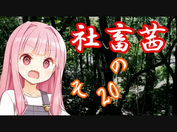 社畜茜その20【ソフトウェアトーク劇場】
