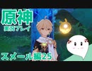 【曼珠りりぃの原神実況】スメール編part25～フェーイズの論証～
