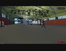 【Stormworks】双胴貨物輸送飛行機