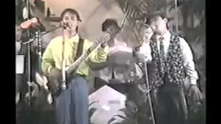 素直になれなくて/Island