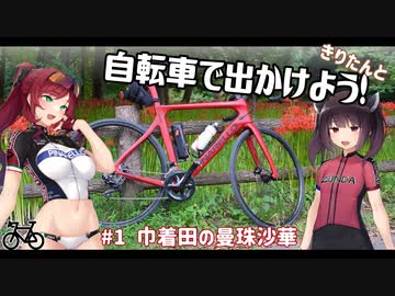 きりたんと自転車で出かけよう！ #1【巾着田の曼珠沙華】