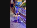 ホモと見る　赤ちゃんvsトルコアイス