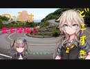 【つむひまツーリング】奥多摩編②/③【S1000RR/Driveman BS-9b】