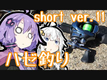 あかりの食材調達日誌 short ver.11