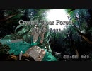 Crystal Clear Forest