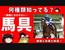 メイケイエールで学ぶ馬具
