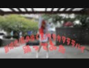 【 ONE PIECE FILM RED / UTA 】 新時代 / ウタカタララバイ / 風のゆくえ 踊ってみた 【蒼葉海零】