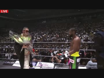 ホモと見る日本の恥