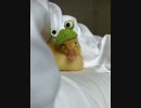 ホモと見る　帽子をかぶったアヒルの赤ちゃんが寝落ちしそうになる瞬間
