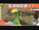 轟くFF11＿復帰プレイ80　監視哨開通ツアー【ハルブーン監視哨編】