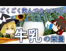 【ゆっくり解説】牛乳の栄養について解説！
